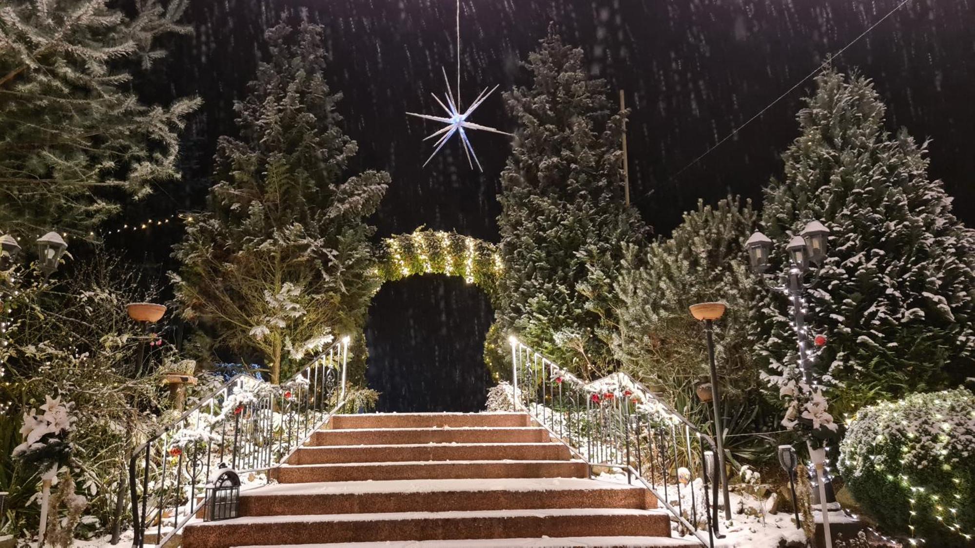 Hotel Am Wald B&B Michendorf Kültér fotó